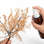 Seafoam Miniature Tree Branches in Multiple Colors – Realistic DIY Trees for HO OO N Scale Diorama Scenery