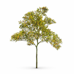 Cuttable Seafoam Tree Branch for Dioramas – Natural HO Scale 1:87 Model Tree Material for Realistic DIY Scenery