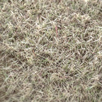 Model Static Grass Flock Powder Foliage For Railway Artificial Mini Terrain Lawn  Wargame Landscape Scenery Diorama Accessories