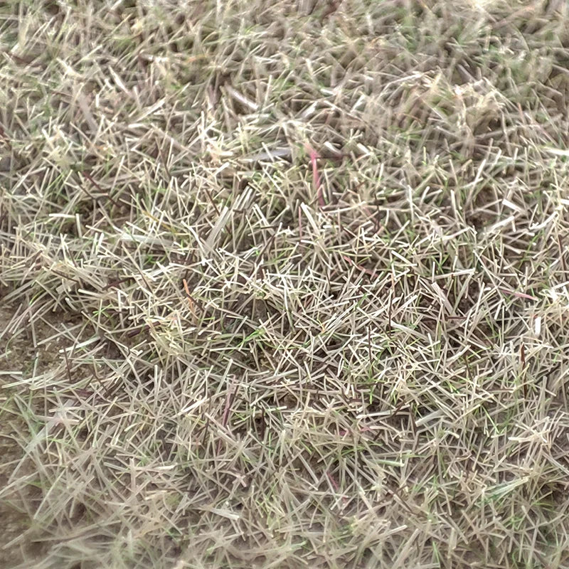 Model Static Grass Flock Powder Foliage For Railway Artificial Mini Terrain Lawn  Wargame Landscape Scenery Diorama Accessories