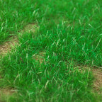 Model Static Grass Flock Powder Foliage For Railway Artificial Mini Terrain Lawn  Wargame Landscape Scenery Diorama Accessories