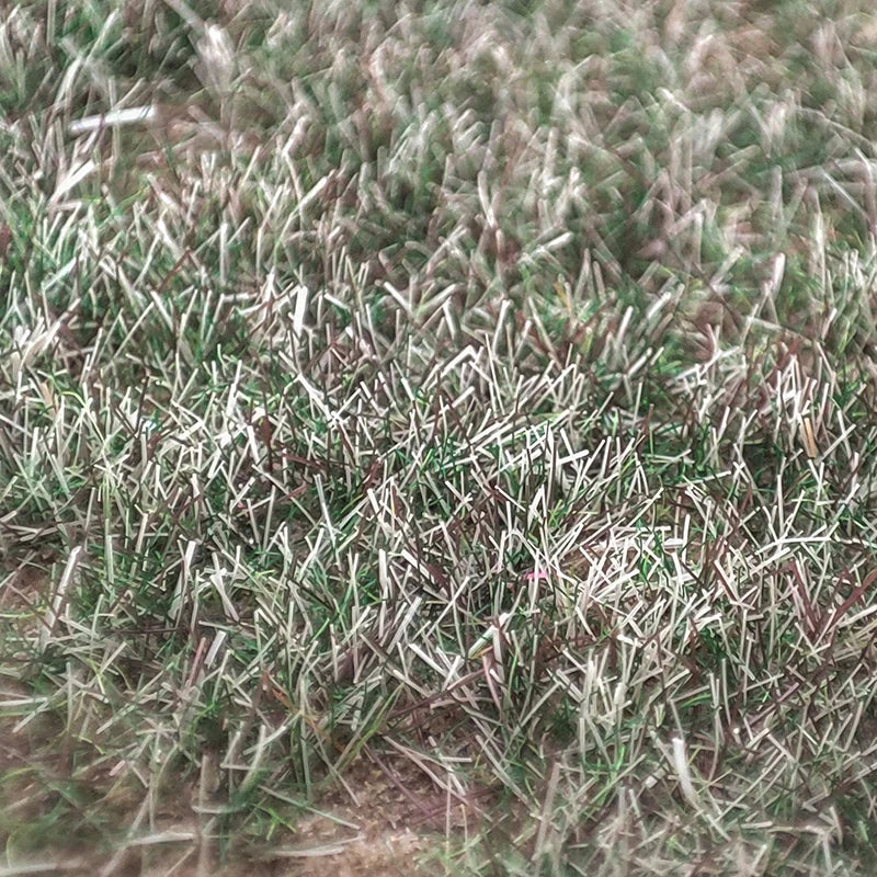 Model Static Grass Flock Powder Foliage For Railway Artificial Mini Terrain Lawn  Wargame Landscape Scenery Diorama Accessories