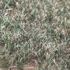 Model Static Grass Flock Powder Foliage For Railway Artificial Mini Terrain Lawn  Wargame Landscape Scenery Diorama Accessories