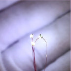 10pcs Ultra Bright 3V Pre Wired Led Diodes Chip Strip Light For diy Modeling Model Train Pre-soldered Micro Litz