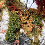 2CM Miniature Bushes Hand-Tearabled Realistic Shrubs for DIY Model Making Scenery, Railway Train Layouts, Wargame & Diorama 1Box