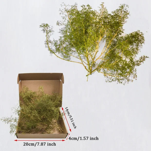 Seafoam Miniature Tree Branches in Multiple Colors – Realistic DIY Trees for HO OO N Scale Diorama Scenery