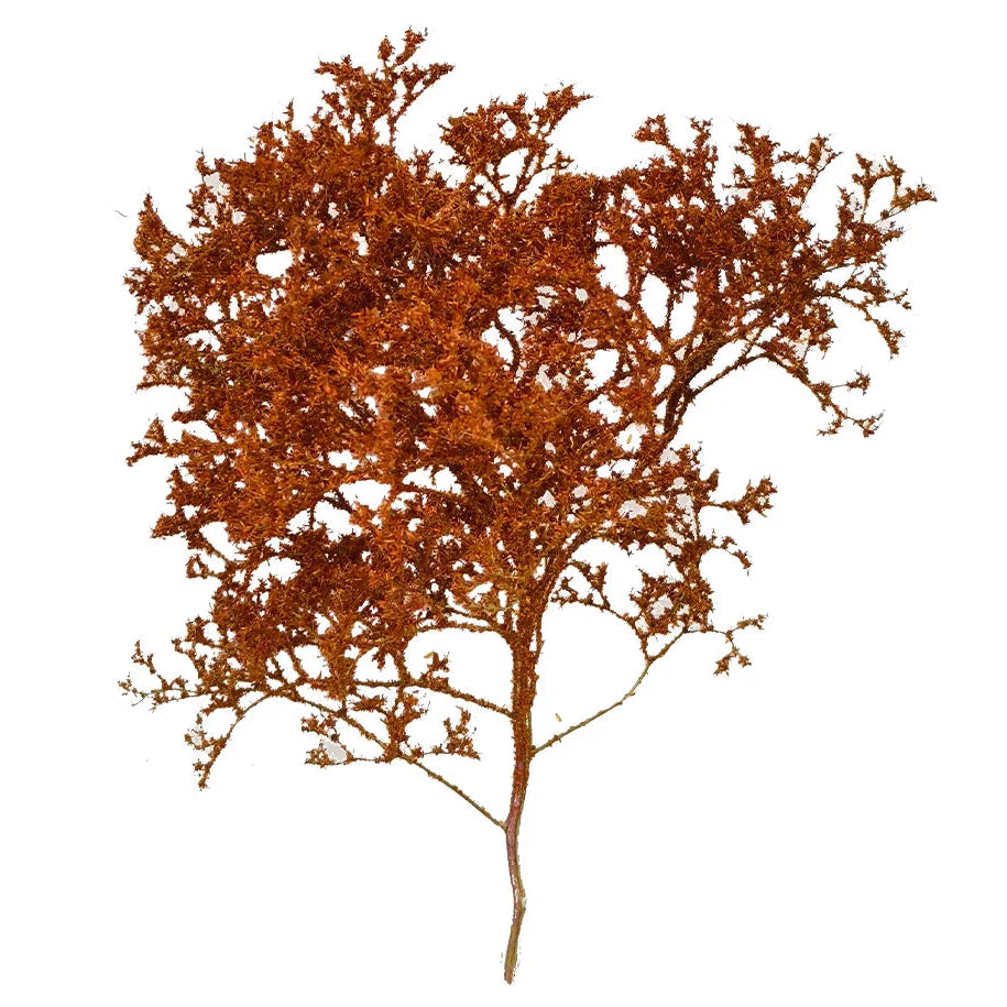 Simulation Seafoam Trees for Diorama & Model Scenery (2PCS) – Realistic Chenopodium Spinosum Trees for Railway, Wargaming & Landscape Models