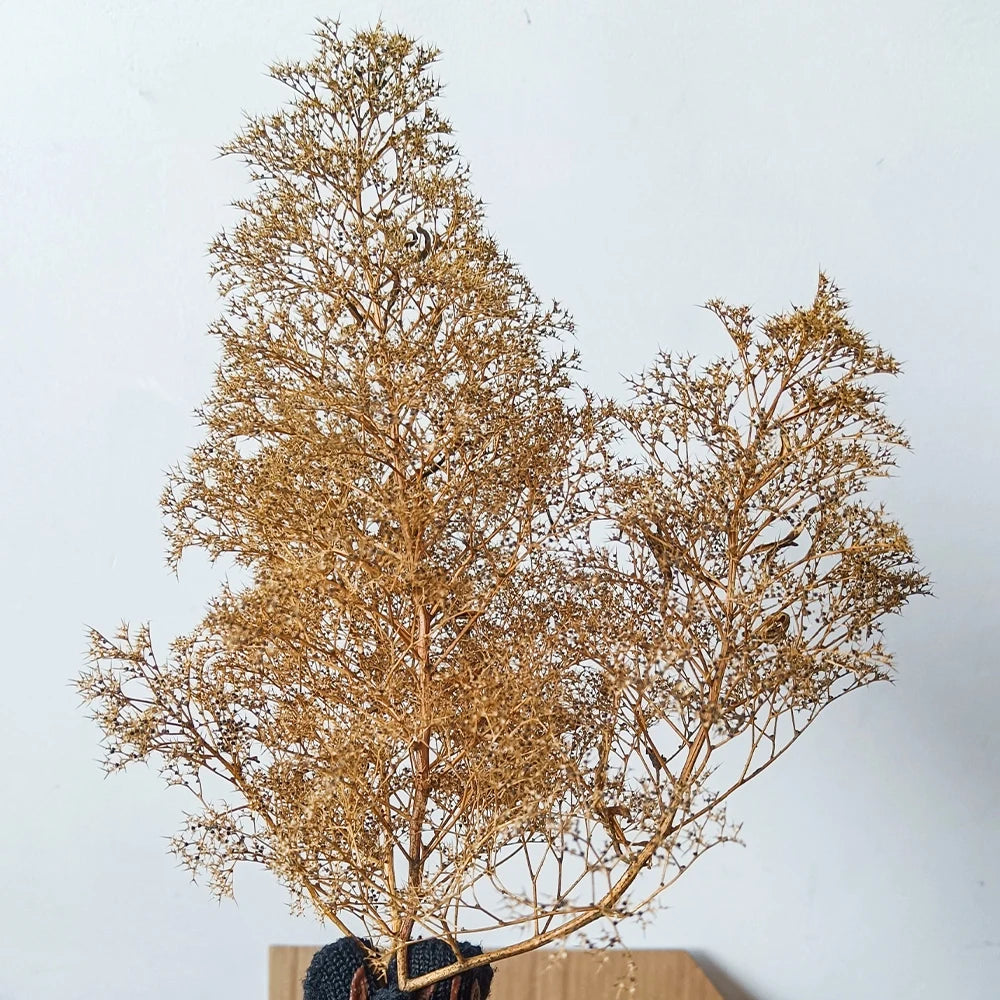 Sea Foam/Sea Moss Model Making Trees Accessories Plant Material for Miniature Forests Bushes in Model Building,Model Train