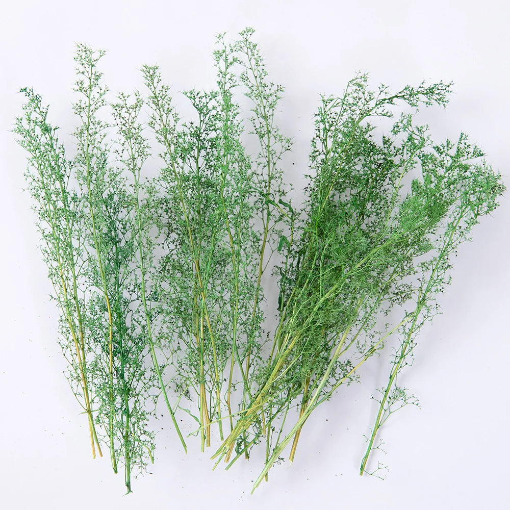 Miniature Spiny Quinoa Simulation Trees Plants for Railway Train Layout/Military Scenery/Wargame/Diy Model Making/Diorama 1Box