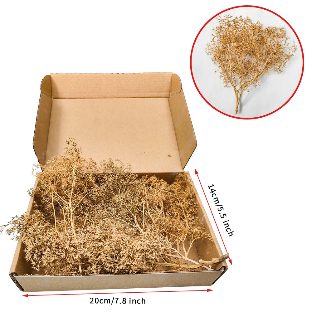 Sea Foam/Sea Moss Model Making Trees Accessories Plant Material for Miniature Forests Bushes in Model Building,Model Train