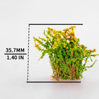 Miniature Colorful Flower Cluster Miniature Shrubs Bushes Static Grass Random Style Model Tree Scenery Accessories