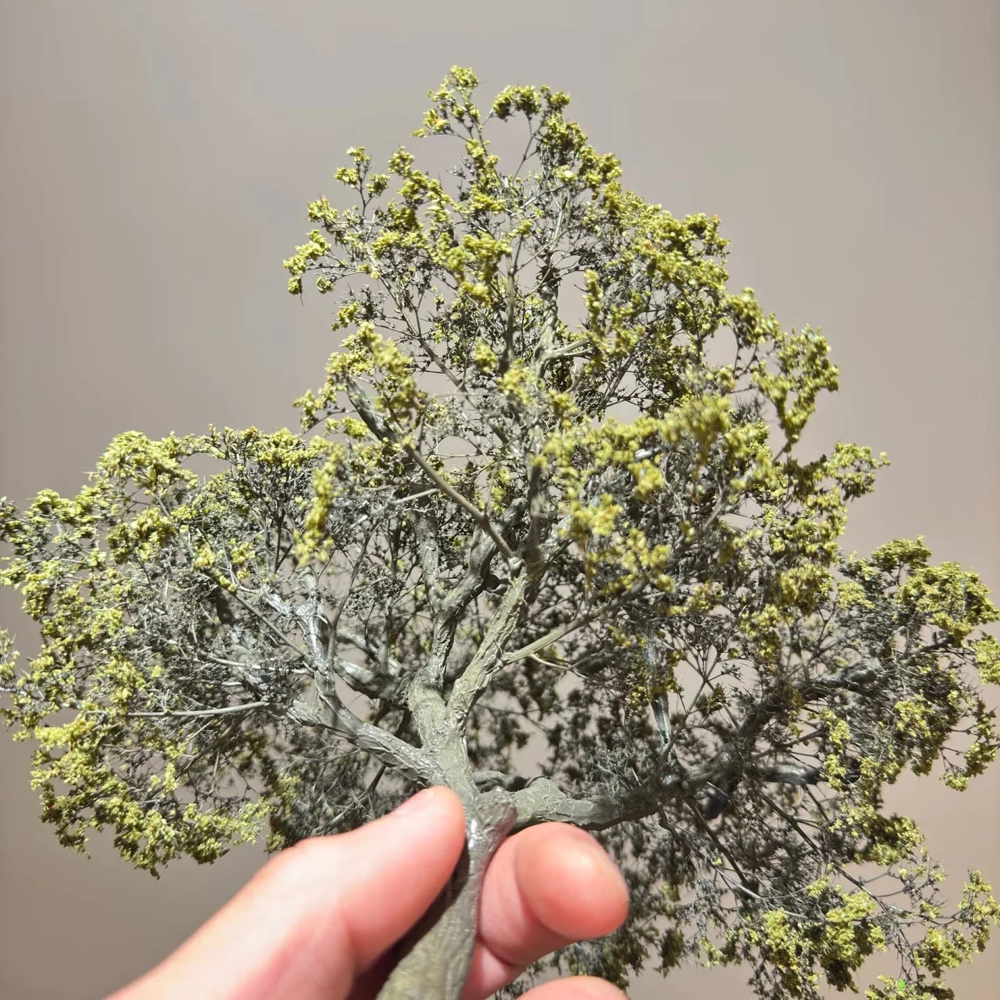 Sea Foam/Sea Moss Model Making Trees Accessories Plant Material for Miniature Forests Bushes in Model Building,Model Train