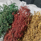 Diorama Supplies Miniature Military Vegetation Simulation Terrain Bush Plants for Diy Model Making/Landscape/Railway Layout 1box