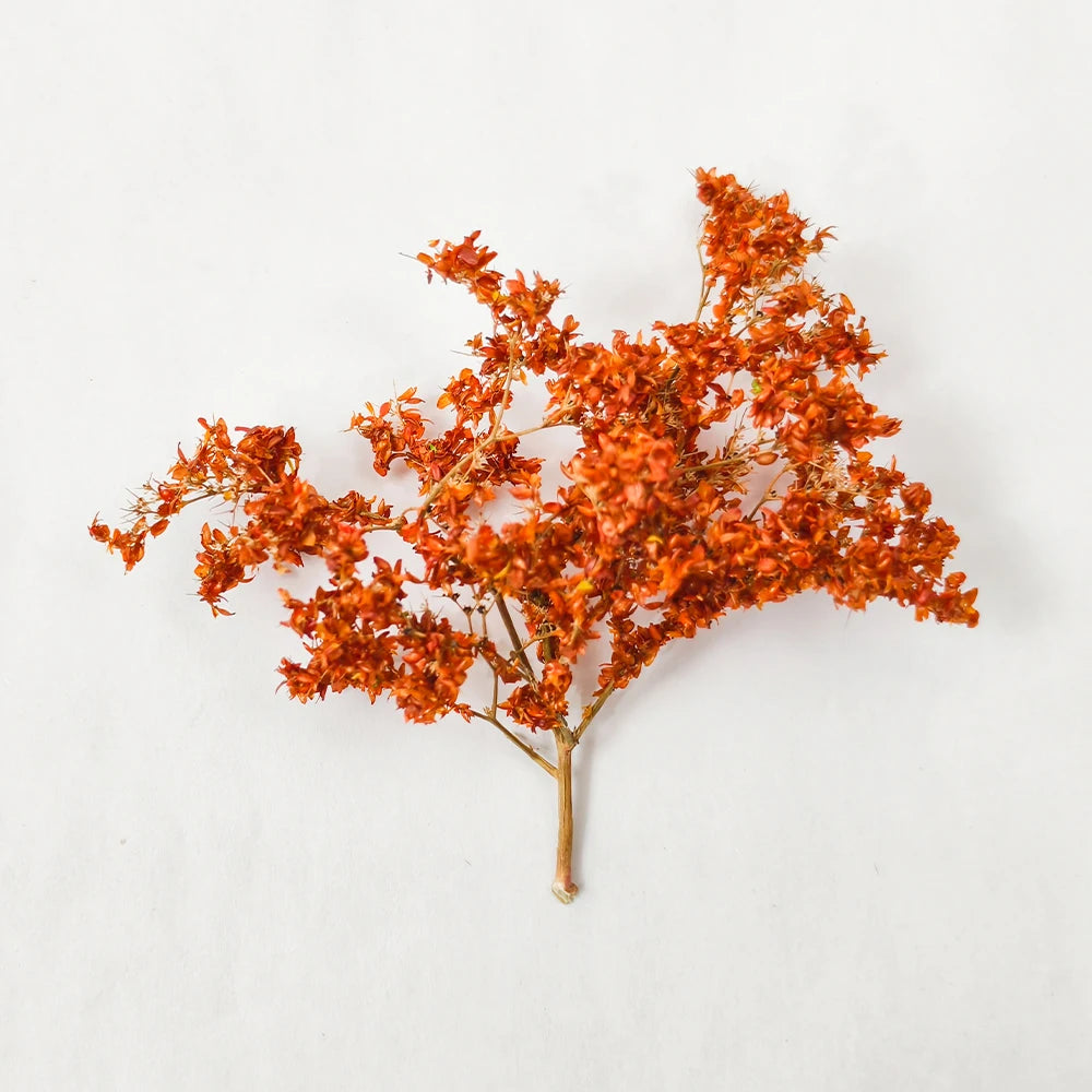 Scale Miniature Model foam Tree, sea trees For Architectural building model Diorama Models,HO N train railway landscape layout