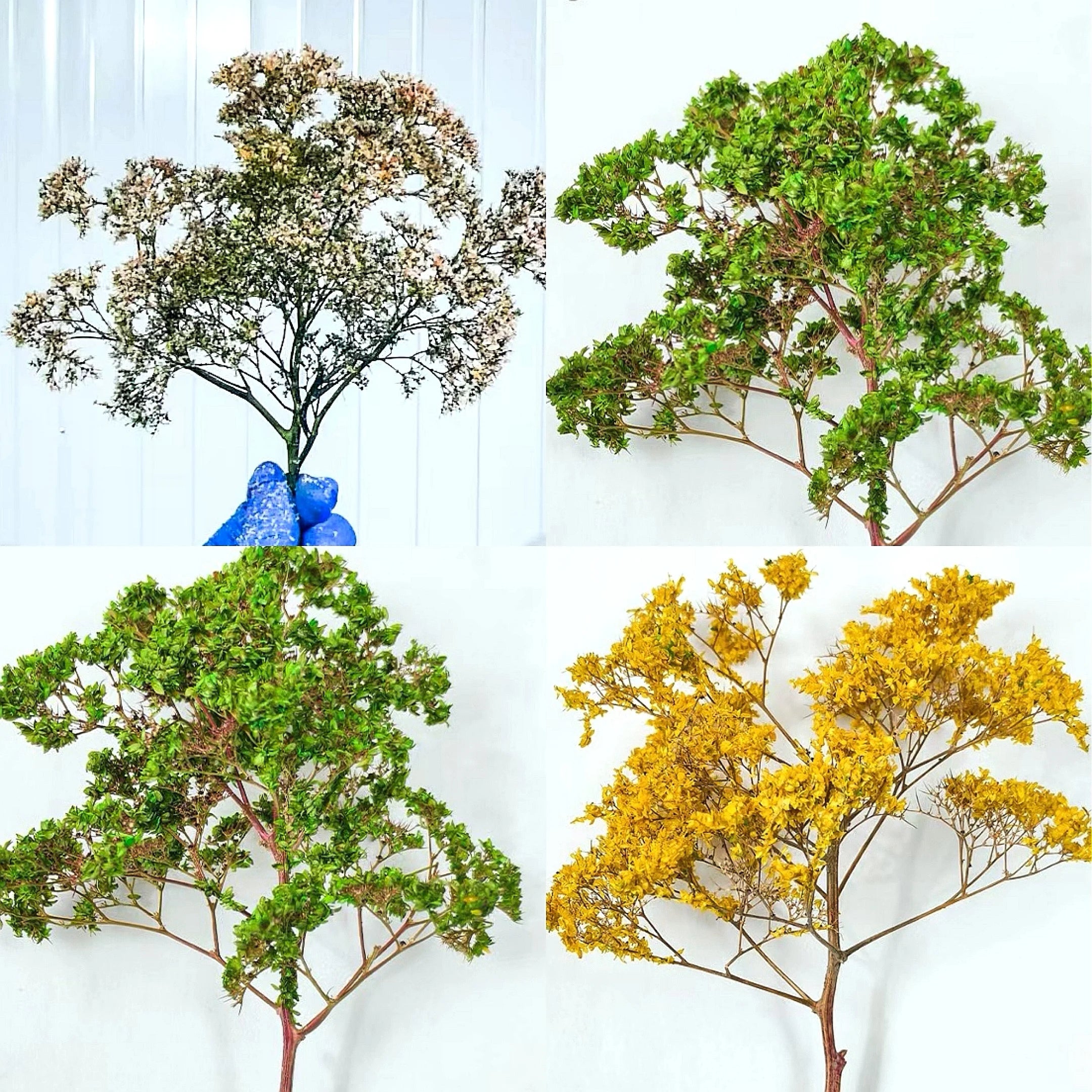 Scale Miniature Model foam Tree, sea trees For Architectural building model Diorama Models,HO N train railway landscape layout