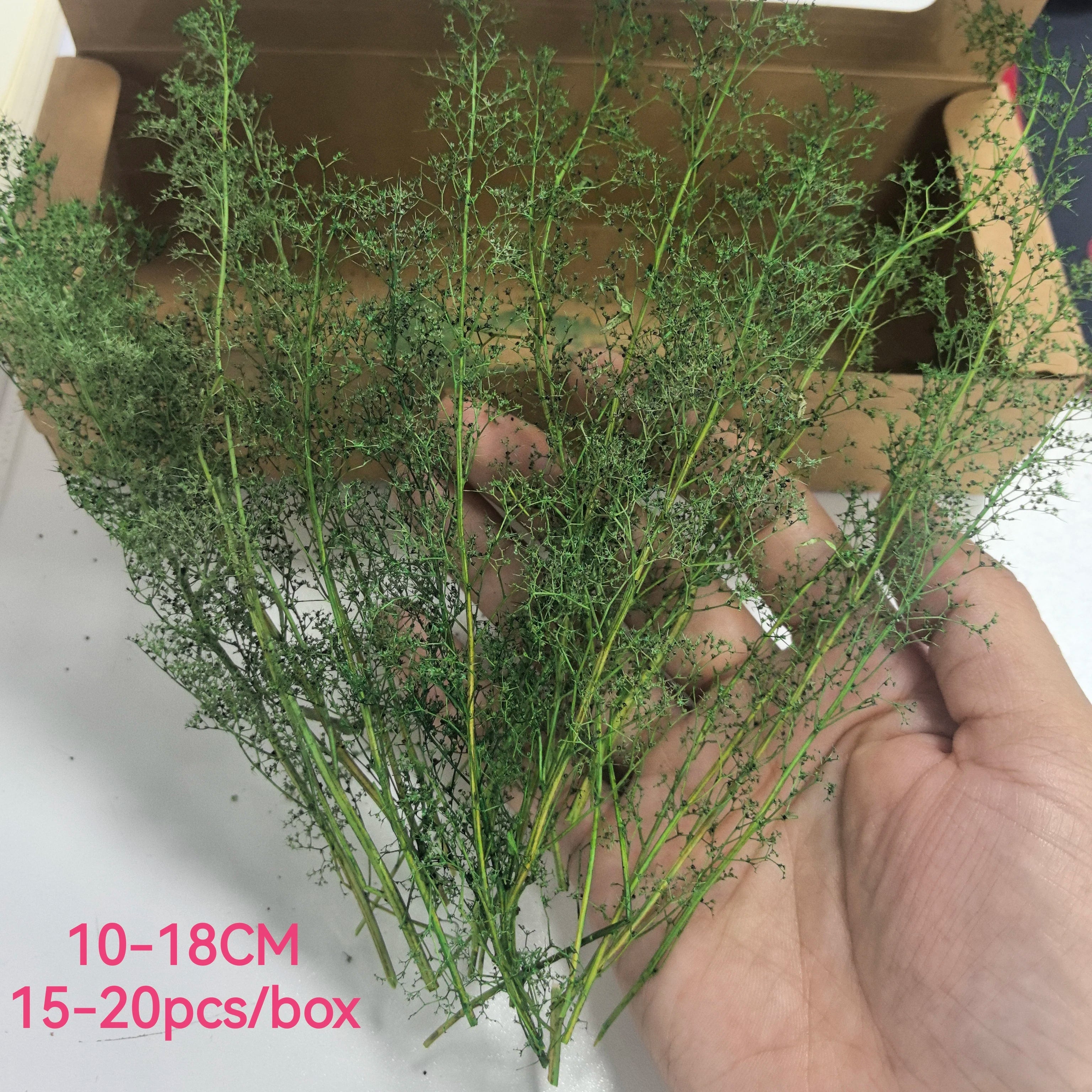 Miniature Spiny Quinoa Simulation Trees Plants for Railway Train Layout/Military Scenery/Wargame/Diy Model Making/Diorama 1Box