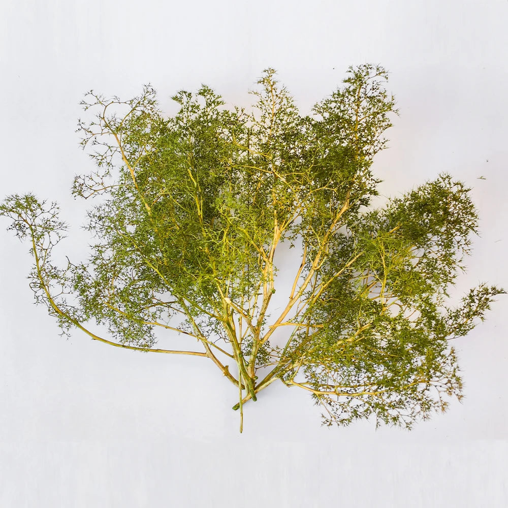 Seafoam Miniature Tree Branches in Multiple Colors – Realistic DIY Trees for HO OO N Scale Diorama Scenery