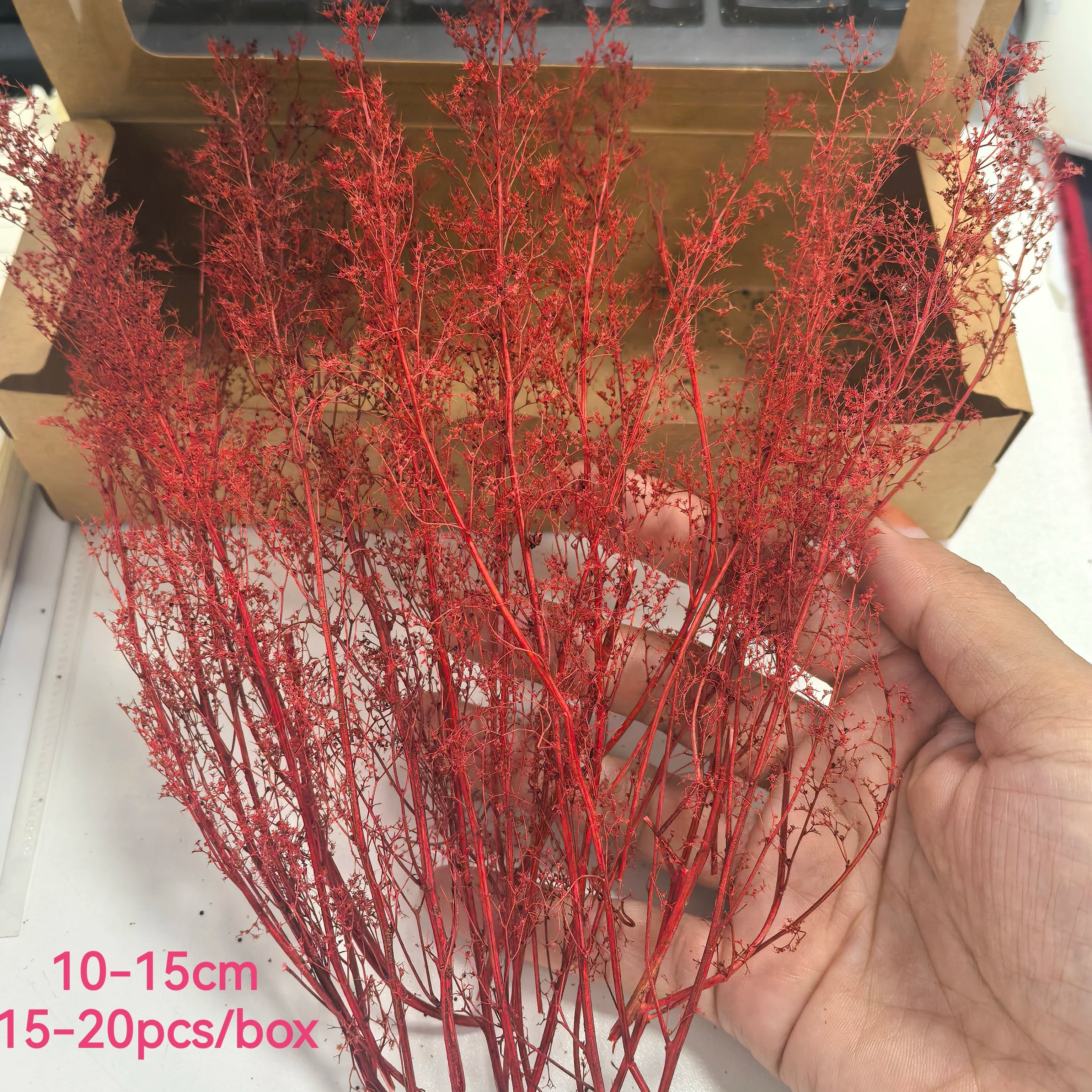 Miniature Spiny Quinoa Simulation Trees Plants for Railway Train Layout/Military Scenery/Wargame/Diy Model Making/Diorama 1Box