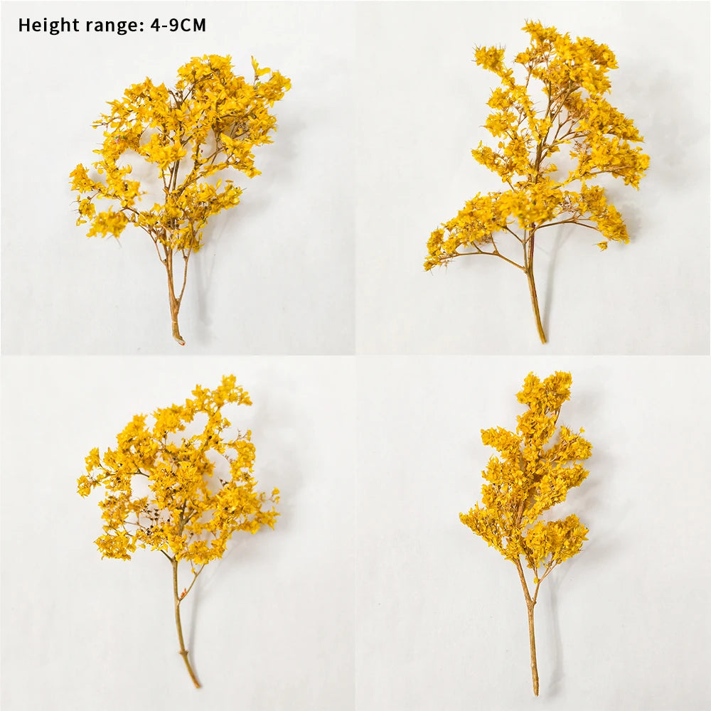 Scale Miniature Model foam Tree, sea trees For Architectural building model Diorama Models,HO N train railway landscape layout