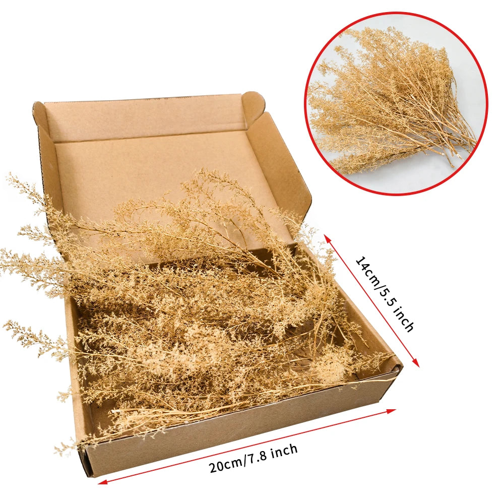 Sea Foam/Sea Moss Model Making Trees Accessories Plant Material for Miniature Forests Bushes in Model Building,Model Train