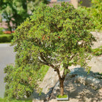 10G/BAG Miniature Tree Foliage Terrain Powder for Making Trees/Railway Train Layout/Wargame/Military Scenery/Sandtable Materials