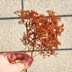 Simulation Seafoam Trees for Diorama & Model Scenery (2PCS) – Realistic Chenopodium Spinosum Trees for Railway, Wargaming & Landscape Models