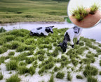 5MM Miniature Static Grass Tufts Cluster, for DIY Model Making, Railway Scene, Wargame, Sand Table Layout, Diorama, Decoration