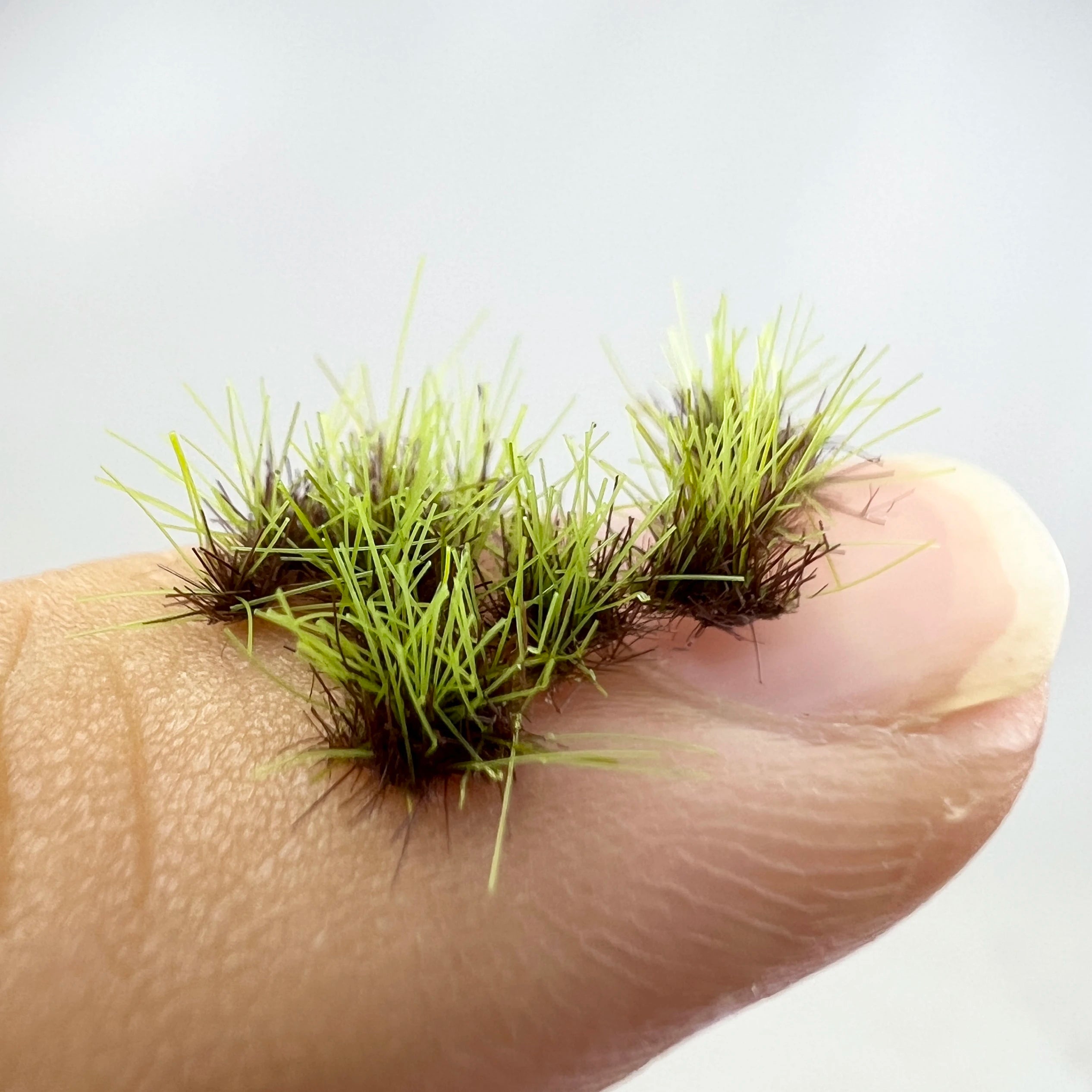 5MM 8MM 10MM HAND-TEAR Static Grass Model Grass Tufts Railway Artificial Miniature Terrain Kit for DIY Model Railway DIORAMA