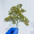 Sea Foam/Sea Moss Model Making Trees Accessories Plant Material for Miniature Forests Bushes in Model Building,Model Train