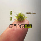 70pcs 5mm Miniature Static Grass Tufts for HO N Scale Model Railway Train Layout Military Wargame Scenarios DIY Diorama Making