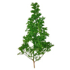 Simulation Seafoam Trees for Diorama & Model Scenery (2PCS) – Realistic Chenopodium Spinosum Trees for Railway, Wargaming & Landscape Models