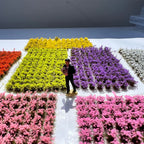 Height 0.5Cm Mini Flower Cluster Grass Tuft for Railway Train Layout/wargaming/diy Model Making/garden Landscape/diorama 104Pcs