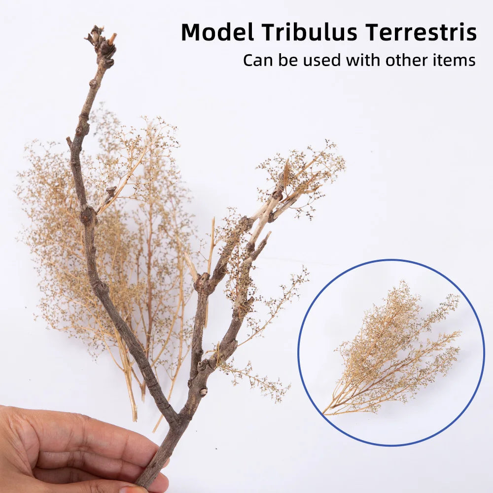 Miniature Spiny Quinoa Simulation Trees Plants for Railway Train Layout/Military Scenery/Wargame/Diy Model Making/Diorama 1Box