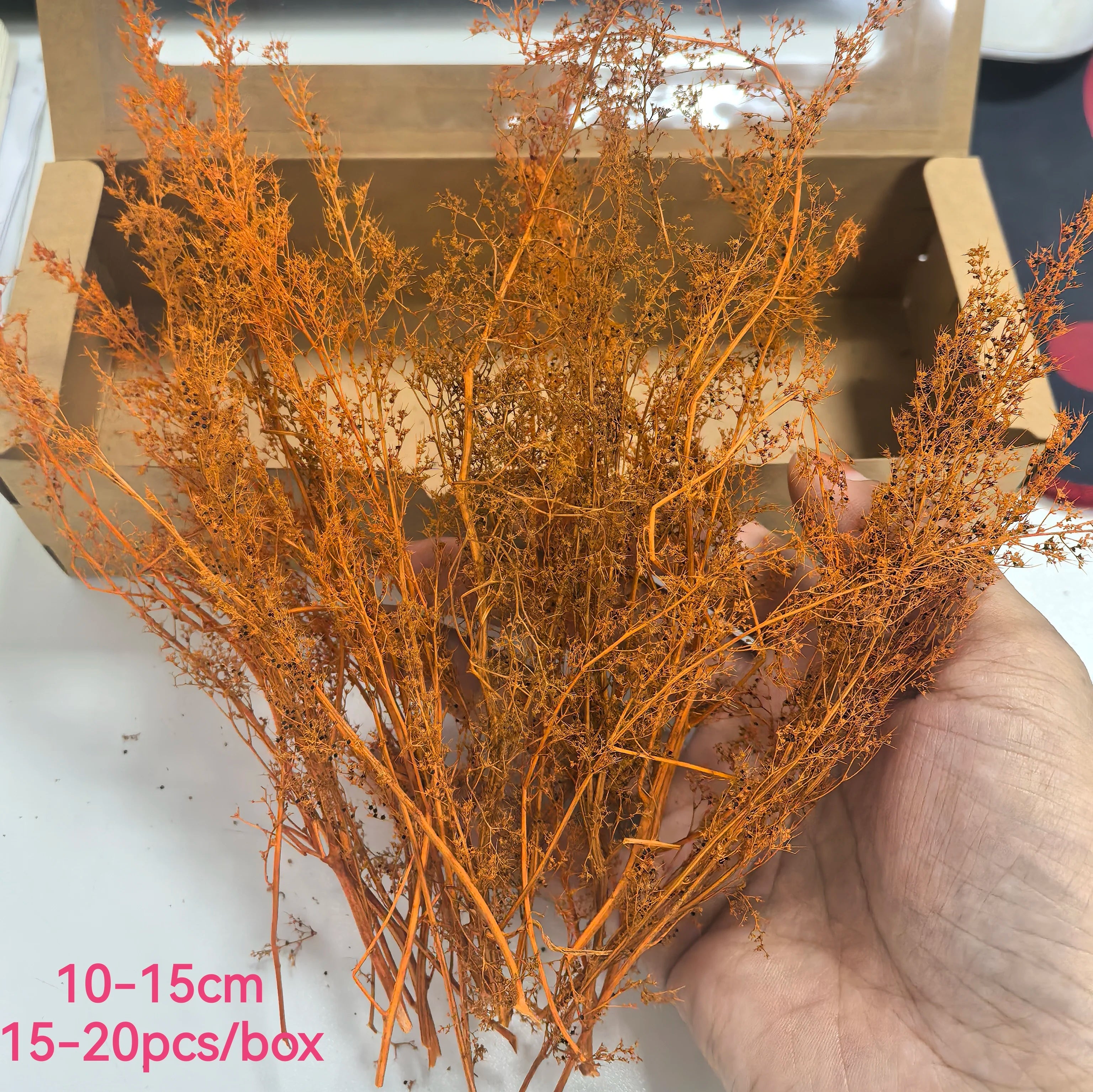 Miniature Spiny Quinoa Simulation Trees Plants for Railway Train Layout/Military Scenery/Wargame/Diy Model Making/Diorama 1Box